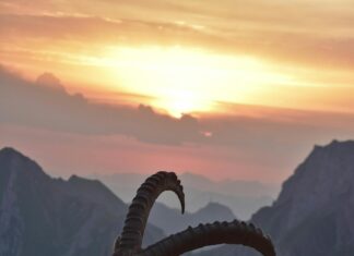 Tageshoroskop Steinbock Liebe: Entdecke Dein Romantisches Schicksal!