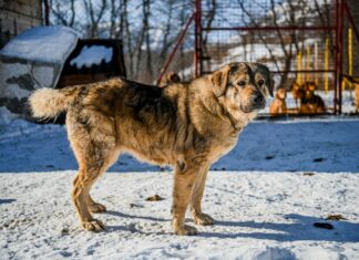 Gutschein Für Buttinette: Wie Du Kreativ Sparen Kannst!