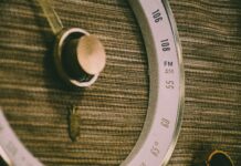 Urlaub Am Meer Mit Hund: Entdecke Die Perfekte Auszeit Gemeinsam