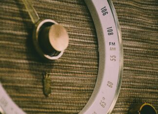 Urlaub Am Meer Mit Hund: Entdecke Die Perfekte Auszeit Gemeinsam