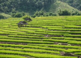 Komm Lieber Mai Und Mache: Warum Der Frühling So Magisch Ist