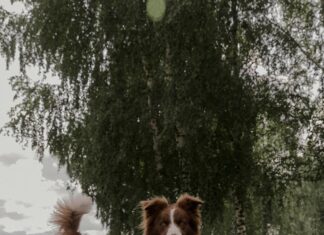 Gutschein Für Cewe: Wie Du Mit Einem Code Kreativ Sparst!