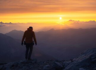 Katze Mit Down Syndrom: Faszinierende Fakten Und Herzergreifende Geschichten