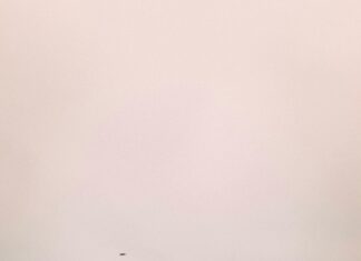 Ist COPD Tödlich? Wichtige Fakten, Die Jeder Wissen Sollte