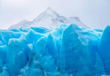 Mövenpick Eis Angebot Entdecken: Verlockende Genussmomente Sicher!