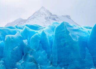 Mövenpick Eis Angebot Entdecken: Verlockende Genussmomente Sicher!