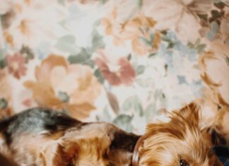 An Meinen Sohn: Tiefgründige Botschaften Für Ein Starkes Band