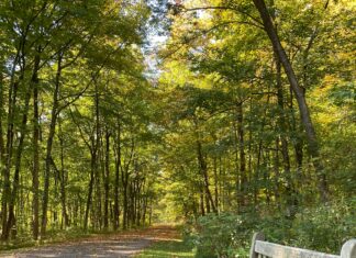 Wann Müssen Sie Abblendlicht Einschalten? Wichtige Tipps!