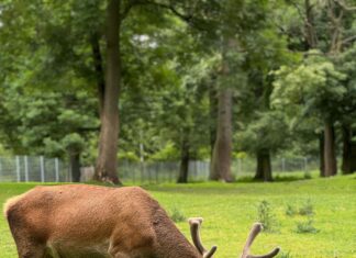 Bauch Hart Schwangerschaft: Was Bedeutet Es Für Dich Wirklich?