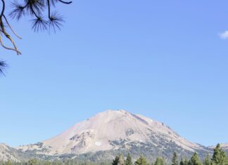 Haare Wachsen Lassen Leicht Gemacht: Geheimtipps Für Schnellen Erfolg