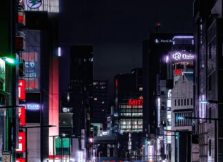 Katzenklappe Mit Mauserkennung: Wie Funktioniert Die Smarte Technik?