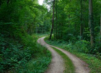 Hände Schlafen Nachts Ein – Warum Passiert Das Und Was Tun?