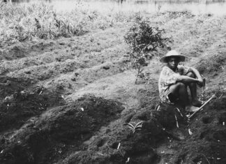 Parasiten Im Körper Symptome Frau: Warnzeichen Erkennen Und Handeln