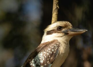 Frauen Aus Kasachstan: Faszinierende Einblicke Und Geheimnisse Entdecken