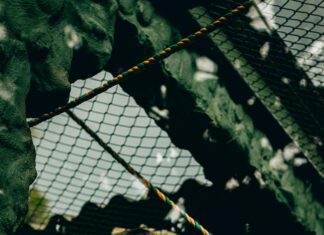 Haare Für Männer: Ultimative Tipps Für Volles Und Gesundes Haar