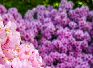 Geschenk Zum Hochzeitstag Mann: Originelle Ideen Für Große Freude
