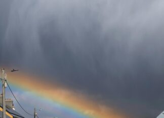 Lohnt Sich Anzeige Wegen Beleidigung? So Schützen Sie Ihre Rechte!