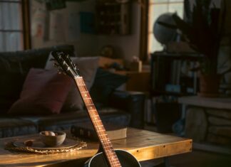 Geräusche Eines Marders: Was Versteckt Sich Hinter Den Lauten?