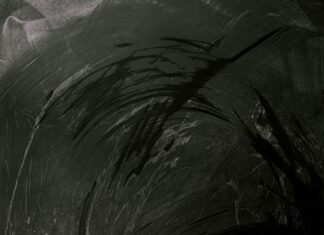 Lena Und Mark Getrennt Statement: Was Steckt Hinter Der Trennung?