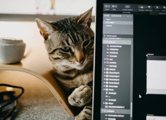 Dame Spielen Online: Entdecke Die Besten Strategien Für Siege