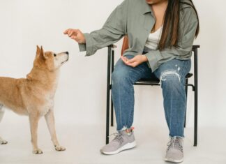 Gutschein Für Vertbaudet: Wie Du Clever Beim Einkauf Sparst!