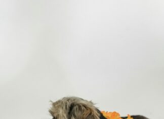 Männer Beim Selbstbefriedigen: Geheimtipps Für Mehr Genuss Entdecken