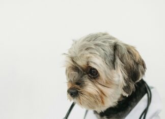 Gutschein Für Babymarkt – Wie Du Clever Sparst Und Groß Profitierst