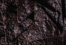 Salt Chips Challenge: Spannende Tipps Für Den Ultimativen Genuss