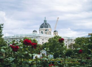 Alkoholfreier Wein Testsieger Entdecken: Welcher Überzeugt Am Meisten?