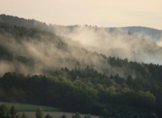Blaue Grau Augen: Faszinierende Einblicke In Ihre Einzigartigkeit